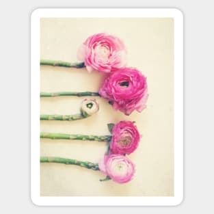 Asparagus and Pink Flowers Sticker